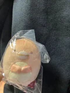 すみっコぐらし堂・庵限定 すみっコぐらし焼きぬいぐるみ ぺんぎん？