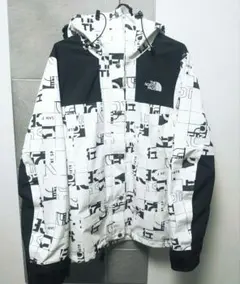 THE NORTH FACE ゴアテックスグラフィックマウンテンパーカ日本未発売