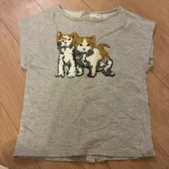 little PAUL & JOE 猫イラスト Tシャツ 14サイズ