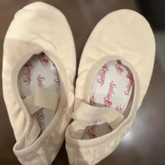 Item thumbnail for item 7cb47424-ee4b-4ae9-a127-e6980794f4f7