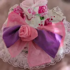 Item thumbnail for item 2211d208-700e-4975-8a00-f183d5cf1fed