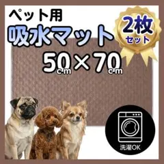 ペット用吸水マット 2枚セット L ブラウン ペットシート マット 洗えるのサムネイル