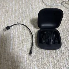 Beats Powerbeats Pro ブラックのサムネイル