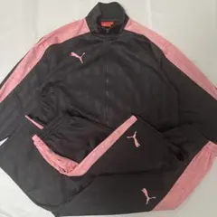 【3点セット】　PUMA プージャー　ジャージ　セットアップ　上下セット　ピンク