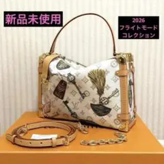 新品未使用♡　ルイヴィトン　スピーディー　20 LOUIS VUITTON - 新品未使用♡ ルイヴィトン スピーディー 20の通販 by