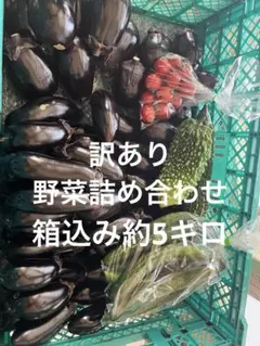 訳あり　野菜詰め合わせのサムネイル