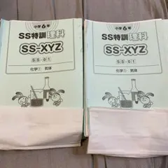 2026年最新】sapix 6年 理科の人気アイテム - メルカリ