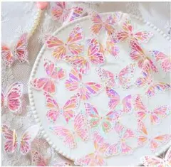 Item thumbnail for item 53c86276-794c-4ed3-91f6-84e38a9a4b6a