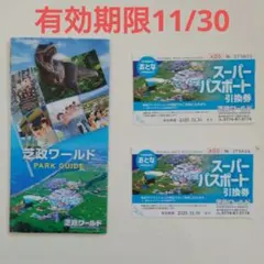 2026年最新】芝政ワールド スーパーパスポートの人気アイテム