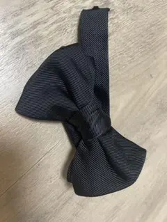 Item thumbnail for item ffa8c078-8b12-4f37-a20e-13a766c74a65