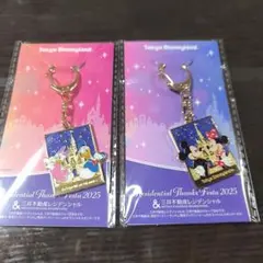 非売品 ディズニー キーホルダー ミッキー ミニー デイジー ドナルド