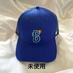 Item thumbnail for item 1cc7d38a-9017-4a35-989e-271d4359e0f6