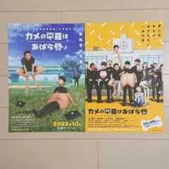 カメの甲羅はあばら骨 映画チラシ フライヤー 2種類セット