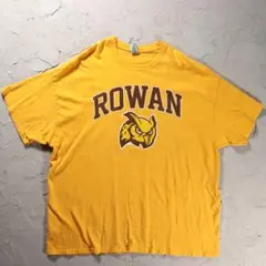 GILDAN Tシャツ ローワン大学　カレッジ　フクロウ