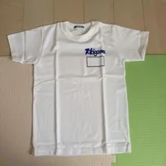 Item thumbnail for item 394a1296-def1-449d-a5d9-d21bbd042c49