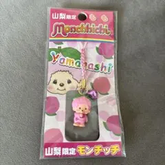 2026年最新】山梨 モンチッチの人気アイテム - メルカリ