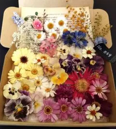 【ネコポス発送】✽訳ありB級品✽No.059　ドライフラワー花材詰め合わせ