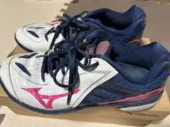 ミズノMizuno Wave Fang バドミントンシューズ