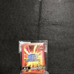 デュエリストカードプロテクター 爆炎