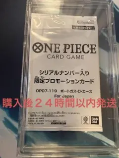 早い者勝ち シリアルゾロ(未開封品)限定プロモーションカード1枚※2700