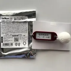 ハイキュー‼︎　鍵チャームキーホルダー　稲荷崎高校