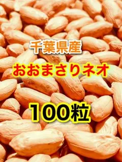 Ayu様 リクエスト 2点 まとめ商品