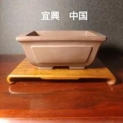 2026年最新】盆栽鉢 中国の人気アイテム - メルカリ