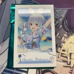ホロライブ　5th fes  兎田ぺこら　チェキ風カード
