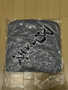 千葉ロッテマリーンズ ごっちゃし座布団 非売品