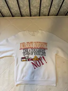 90s USA製 フルーツオブザルーム スウェット L
