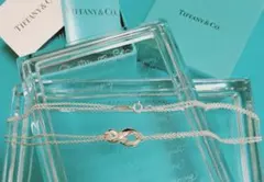 ティファニー インフィニティ ダブルチェーン ネックレス