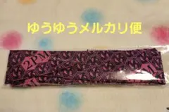 【２ＰＭ】ジュンケイ　ワイヤーカチューシャ　グッズ