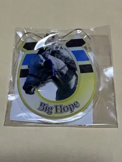 Item thumbnail for item d053fccf-1aaf-4b2e-ba4d-ef53c9383b86