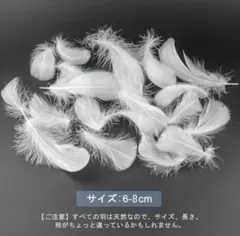 フェザーシャワー　羽　100枚