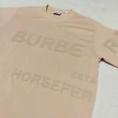 Item thumbnail for item 0d3cc288-dd62-4420-bd97-93af3b440c57