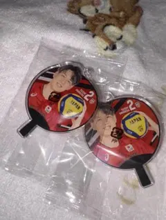 バレーボール男子日本代表