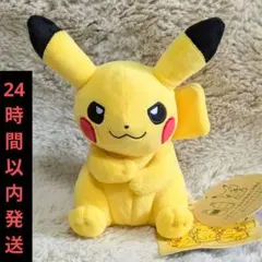 2026年最新】my ピカチュウ ぬいぐるみの人気アイテム - メルカリ