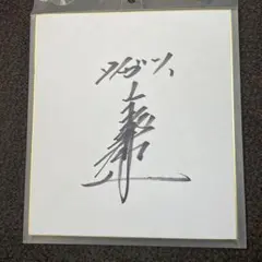 RIZIN ラジャブアリ・シェイドゥラエフ 直筆サイン色紙 銀ペンver