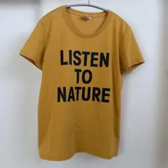 Item thumbnail for item 3732c732-05eb-4883-b58b-3c7c12ac7bce