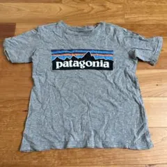 patagonia グレー Tシャツ　X Sサイズ