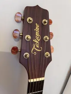 Takamine NPT-010