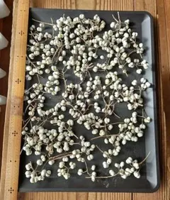 Item thumbnail for item c11d4891-7dd2-4f70-8235-b0d1904f2a0c