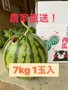農家直送❗️熊本県産大玉スイカ羅王ザスイート - メルカリ