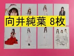 櫻坂46 向井純葉 8枚 生写真(管理No.Sa-024)