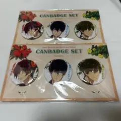 Free! オーロラビッグ缶バッジ -Sparkle- 七瀬遙 松岡凛 - メルカリ