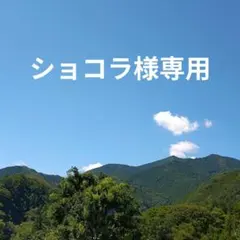 未使用 作るの大変ペンダントJパール 真珠 天然石 ハート型 ブルー系 