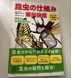 昆虫の仕組み 解剖図鑑