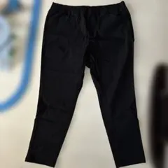 Item thumbnail for item 7a4fffd8-f9f9-4744-a455-ae2f443160f1