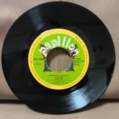 レゲエ Dillinger - Marijuana in my brain レア