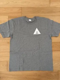 Item thumbnail for item ce094cb1-8ae2-45d7-9459-251c44eb65e6